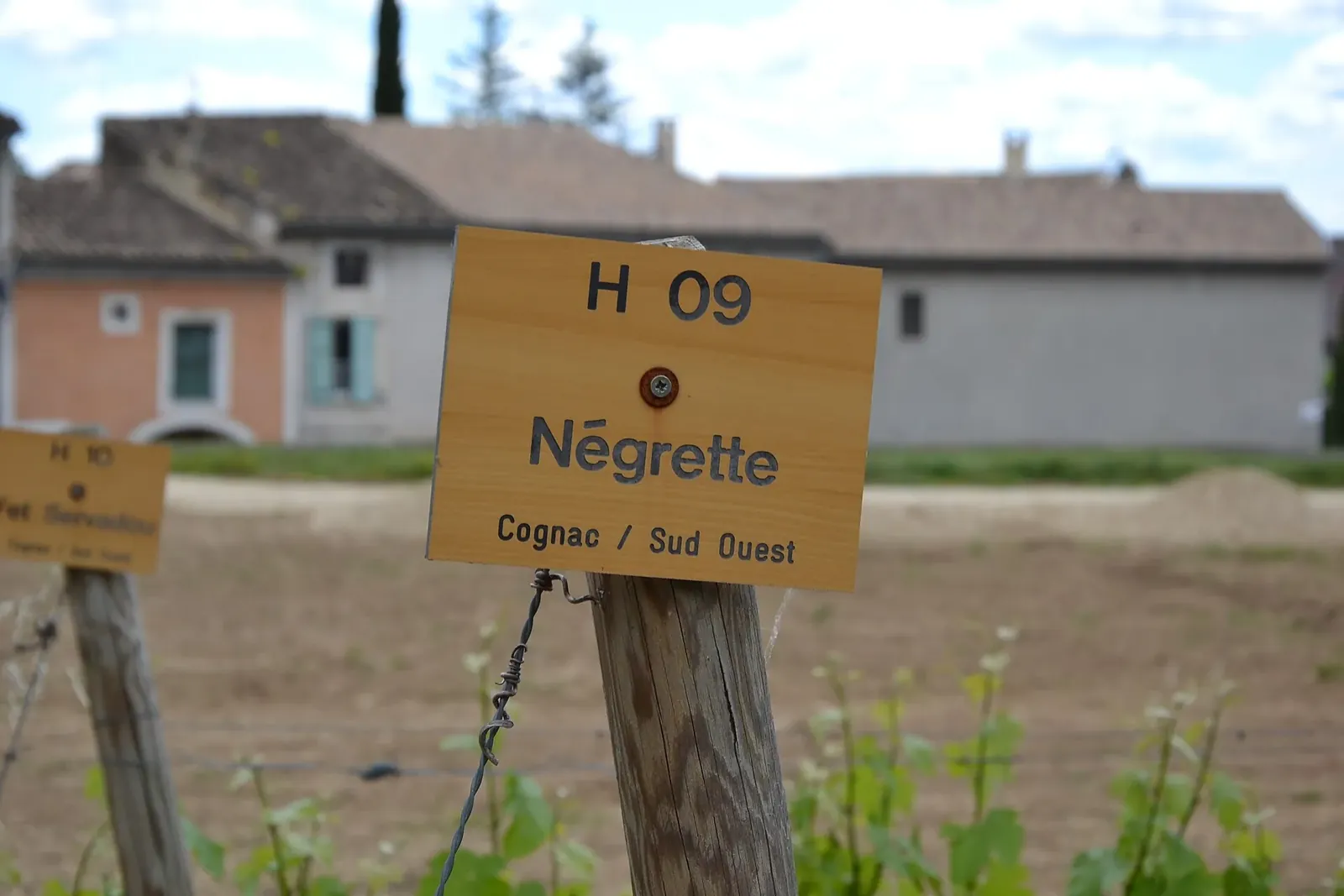 Panneau de parcelle indiquant le cépage Négrette